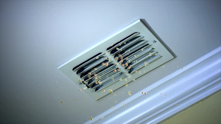 Best Best Air Duct Cleaning Company  in Bertram, TX